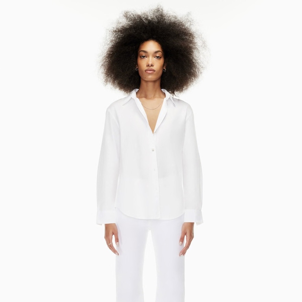 Aritzia Denim Forum The Jane Longsleeve Shirt